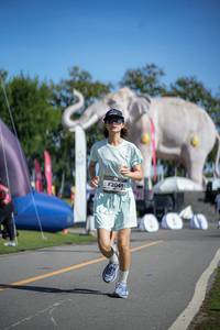 BIB: 
                            <button type="button" onclick="openModal(26542371)" class="btn btn-primary btn-sm float-right btn-popup" data-toggle="modal" data-target=".modal-high-quality">
                        <i class="fas fa-shopping-cart"></i> Add to Cart
                    </button>
                                            <button type="button" onclick="isThisMe(26542371, true)" class="btn btn-success btn-sm float-right btn-popup btn-isme hidden" data-toggle="tooltip" data-placement="bottom" title="นี่คือรูปของคุณใช่ไหม คลิกที่นี่เพื่อเอาเข้าอัลบั้ม">
                        <i class="fas fa-plus"></i> Add to album
                    </button>
                    <button type="button" onclick="isThisMe(26542371, false)" class="btn btn-warning btn-sm float-right btn-popup btn-isnotme hidden">
                        <i class="fas fa-ban"></i> Remove from album
                    </button>